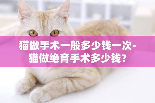 貓做手術一般多少錢一次-貓做絕育手術多少錢？