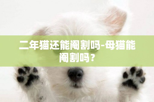 二年貓還能閹割嗎-母貓能閹割嗎？