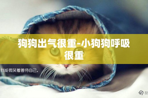 狗狗出氣很重-小狗狗呼吸很重