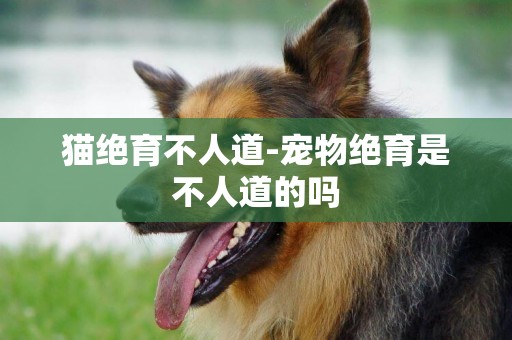 貓絕育不人道-寵物絕育是不人道的嗎