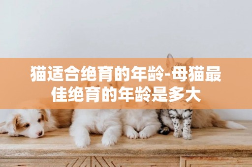 貓適合絕育的年齡-母貓最佳絕育的年齡是多大