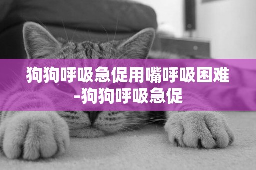 狗狗呼吸急促用嘴呼吸困難-狗狗呼吸急促