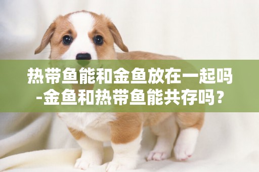 熱帶魚能和金魚放在一起嗎-金魚和熱帶魚能共存嗎？