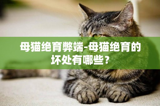 母貓絕育弊端-母貓絕育的壞處有哪些？