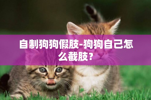 自制狗狗假肢-狗狗自己怎么截肢？