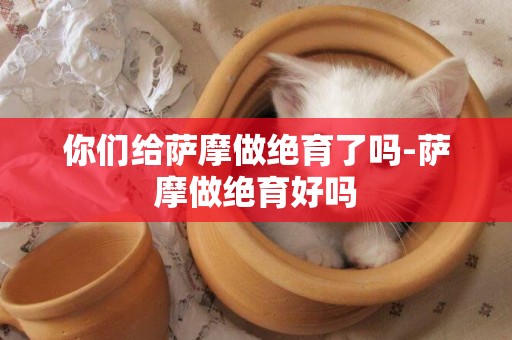 你們給薩摩做絕育了嗎-薩摩做絕育好嗎