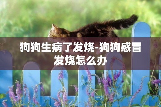 狗狗生病了發燒-狗狗感冒發燒怎么辦