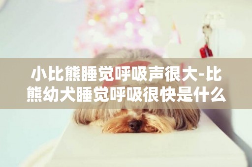 小比熊睡覺呼吸聲很大-比熊幼犬睡覺呼吸很快是什么原因啊？