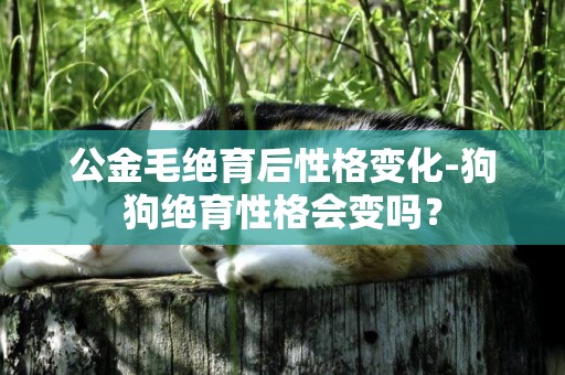 公金毛絕育后性格變化-狗狗絕育性格會變嗎？