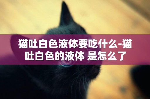 貓吐白色液體要吃什么-貓吐白色的液體 是怎么了