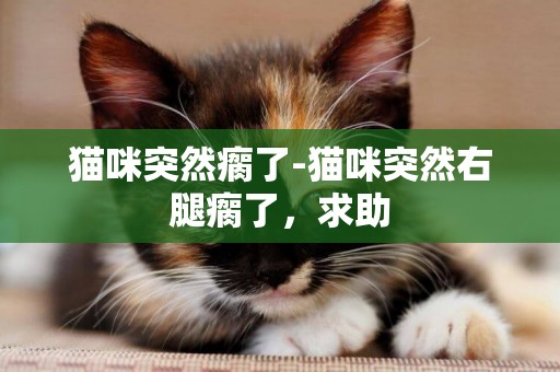 貓咪突然瘸了-貓咪突然右腿瘸了，求助