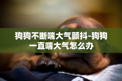 狗狗不斷喘大氣顫抖-狗狗一直喘大氣怎么辦