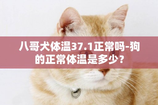 八哥犬體溫37.1正常嗎-狗的正常體溫是多少？