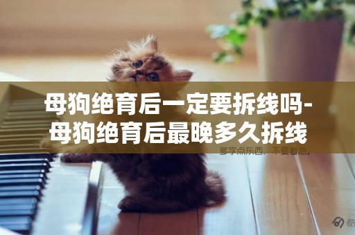 母狗絕育后一定要拆線嗎-母狗絕育后最晚多久拆線