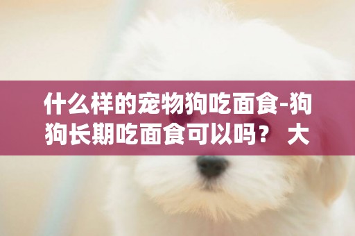 什么樣的寵物狗吃面食-狗狗長期吃面食可以嗎？ 大型犬應該吃什么?_?