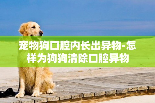 寵物狗口腔內長出異物-怎樣為狗狗清除口腔異物