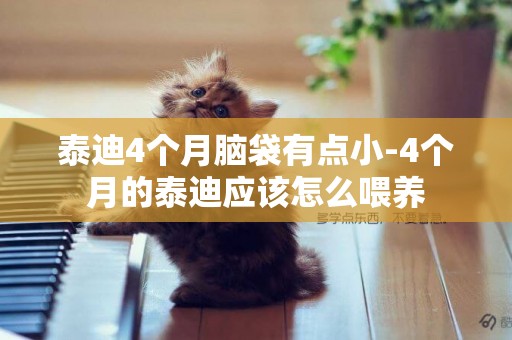 泰迪4個月腦袋有點小-4個月的泰迪應該怎么喂養
