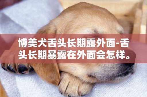 博美犬舌頭長期露外面-舌頭長期暴露在外面會怎樣。