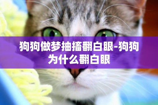 狗狗做夢抽搐翻白眼-狗狗為什么翻白眼
