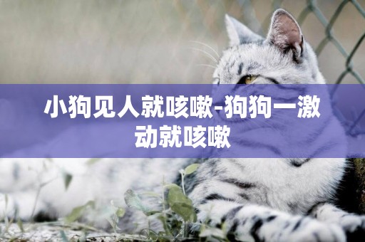 小狗見人就咳嗽-狗狗一激動就咳嗽