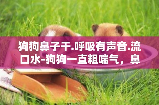 狗狗鼻子干.呼吸有聲音.流口水-狗狗一直粗喘氣，鼻子還一直干的