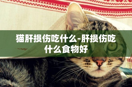 貓肝損傷吃什么-肝損傷吃什么食物好