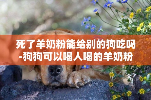 死了羊奶粉能給別的狗吃嗎-狗狗可以喝人喝的羊奶粉嗎