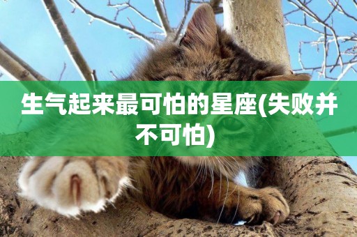 生氣起來最可怕的星座(失敗并不可怕) 