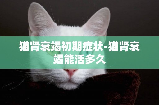 貓腎衰竭初期癥狀-貓腎衰竭能活多久