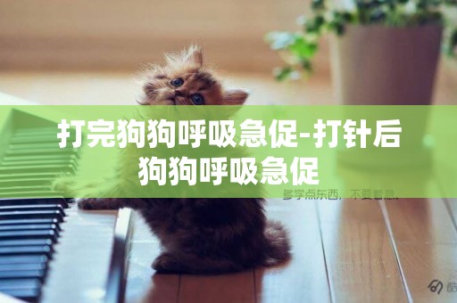 打完狗狗呼吸急促-打針后狗狗呼吸急促