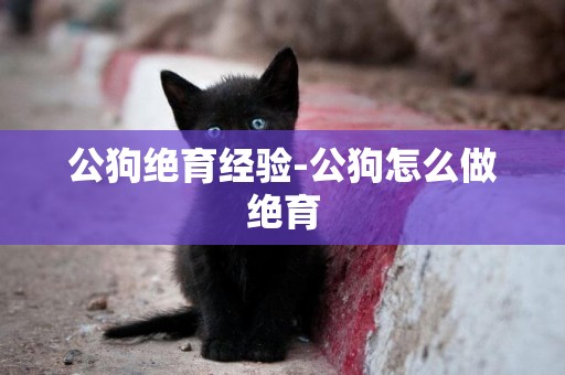 公狗絕育經驗-公狗怎么做絕育