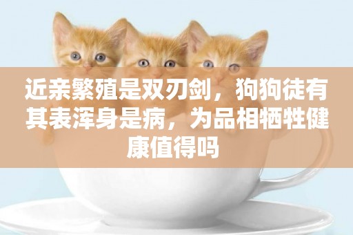 近親繁殖是雙刃劍，狗狗徒有其表渾身是病，為品相犧牲健康值得嗎 