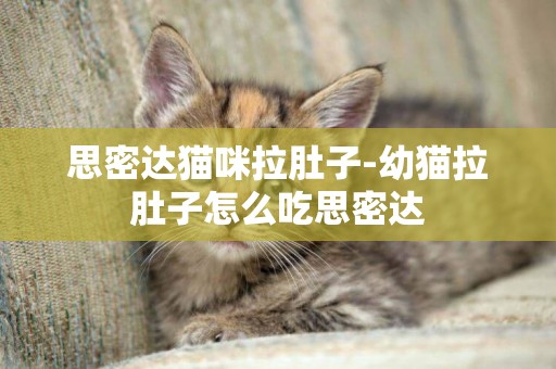 思密達貓咪拉肚子-幼貓拉肚子怎么吃思密達