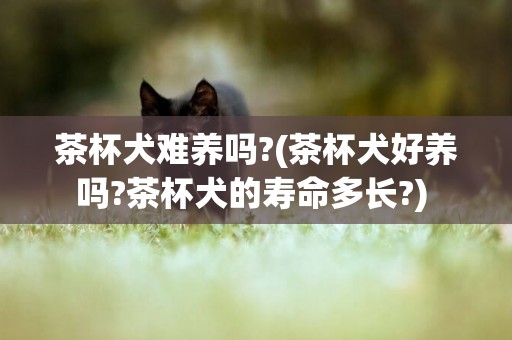 茶杯犬難養嗎?(茶杯犬好養嗎?茶杯犬的壽命多長?) 