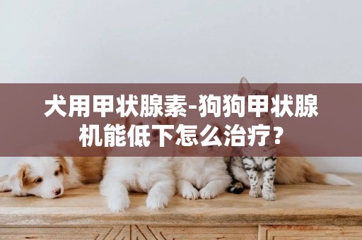 犬用甲狀腺素-狗狗甲狀腺機能低下怎么治療？
