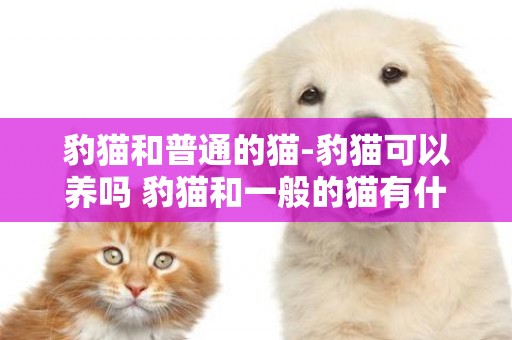 豹貓和普通的貓-豹貓可以養嗎 豹貓和一般的貓有什么區別