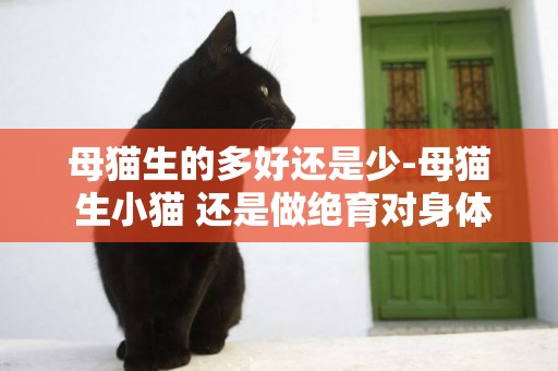 母貓生的多好還是少-母貓 生小貓 還是做絕育對身體好？