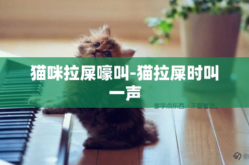 貓咪拉屎嚎叫-貓拉屎時叫一聲