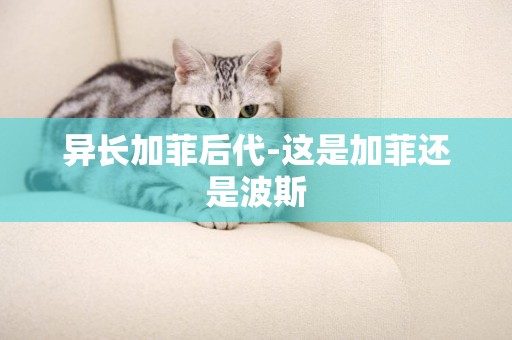 異長加菲后代-這是加菲還是波斯