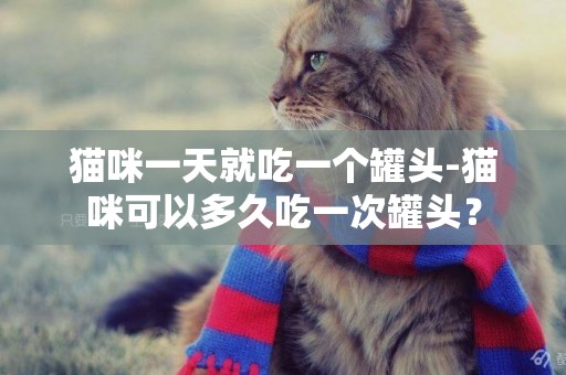貓咪一天就吃一個罐頭-貓咪可以多久吃一次罐頭？