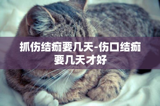 抓傷結痂要幾天-傷口結痂要幾天才好