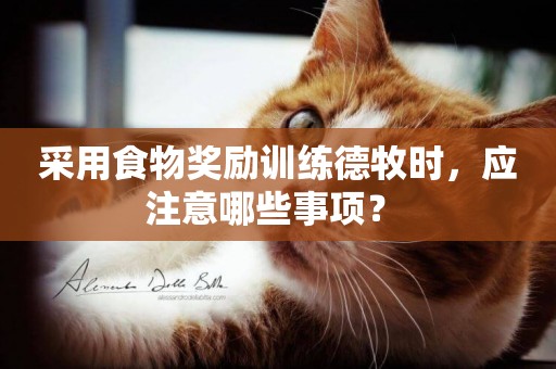 采用食物獎勵訓練德牧時，應注意哪些事項？ 