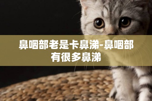 鼻咽部老是卡鼻涕-鼻咽部有很多鼻涕