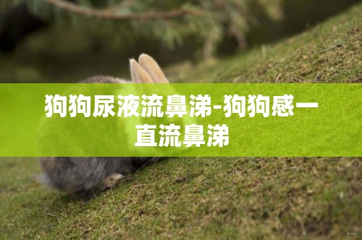 狗狗尿液流鼻涕-狗狗感一直流鼻涕