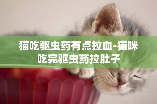 貓吃驅蟲藥有點拉血-貓咪吃完驅蟲藥拉肚子