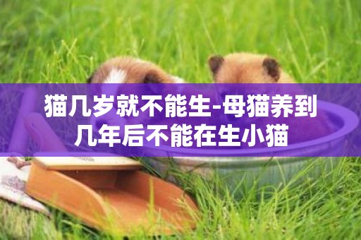 貓幾歲就不能生-母貓養到幾年后不能在生小貓