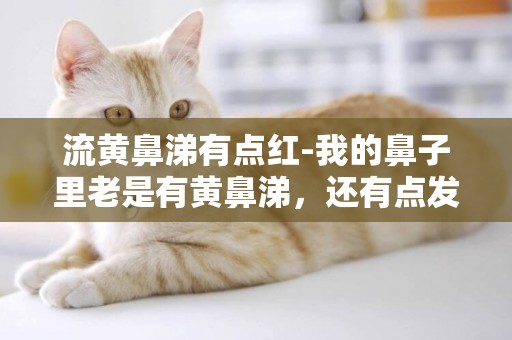 流黃鼻涕有點紅-我的鼻子里老是有黃鼻涕，還有點發紅，是不是鼻炎？