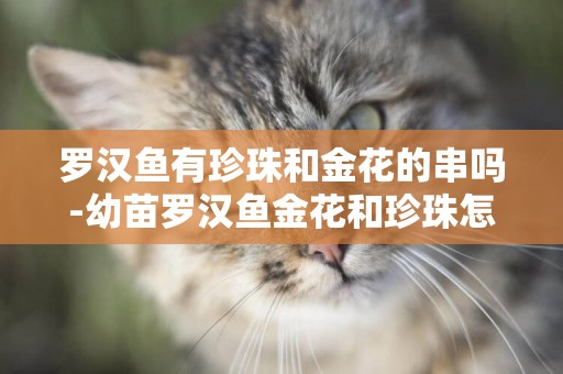 羅漢魚有珍珠和金花的串嗎-幼苗羅漢魚金花和珍珠怎么分