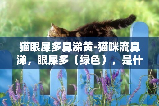 貓眼屎多鼻涕黃-貓咪流鼻涕，眼屎多（綠色），是什么癥狀？