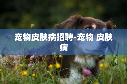 寵物皮膚病招聘-寵物 皮膚病